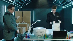 Кошки камикадзе