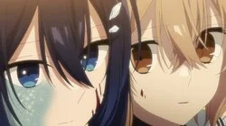 The Shape of Affection