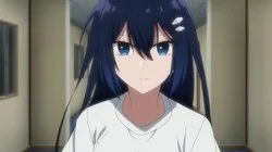 The Cause Of The Cracks