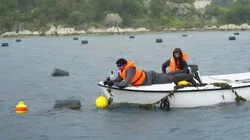 The System Hacked Me