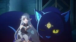 The Assassin Bonds with a Cat