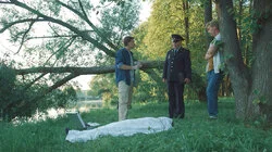 День семьи, любви и верности