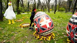 Oh Egg, Where Art Thou