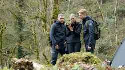 Два товарища