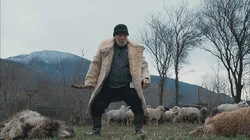 Бедная овечка