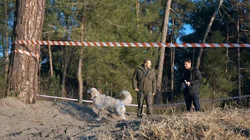 Бег с препятствиями