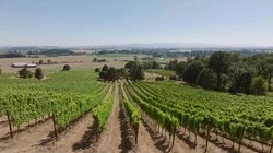 Extra Mile Club: Portland Pt. 2