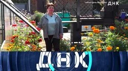 Выпуск 1231. Тайная дочь из Сибири?