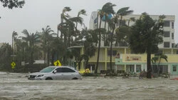 Category 5: Fight to Survive