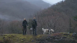 В одной связке