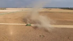 The Family Farm | Collateral Damage | The Indomitable Margaret Atwood