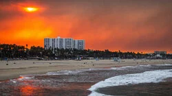 Escaping the LA Fires