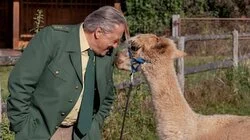 Die Nacht, in der Elvis starb