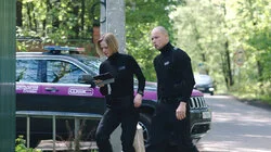 Моя прекрасная котоняня