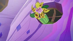 Zaina's Tiger Orchid