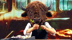 Can a Bison Buffalo Penn & Teller?