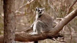 Tokyo, Monarto, Mooloolaba