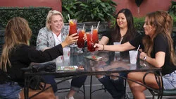 Extending an Olive Branch