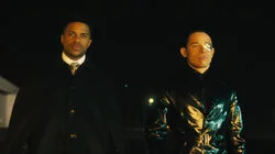 Beautiful Chimp Face