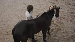 ¿Quieres ser mi esposa?