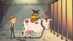 Follow the Sprinkles