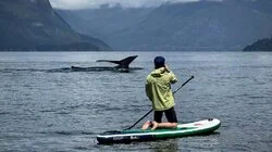 Deepwater boundary p2