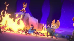 The Missing Pack Member