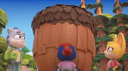 The Mystery of the Missing Acorns