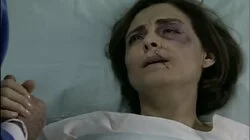 En busca de la verdad