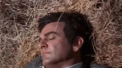 What Happened to Sunday?