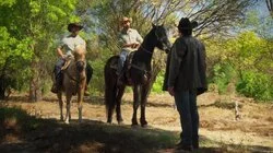 Debes odiarla, no besarla