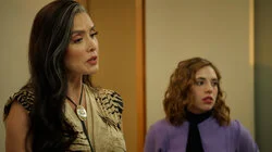 Negocios son negocios