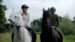 Wat je al niet kan doen met een trekker