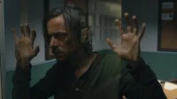 Oakleaf Of The Wayfinders