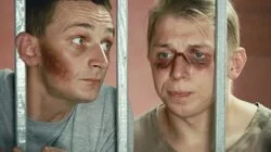 Проверка делом