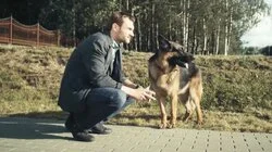 Идеальная пара