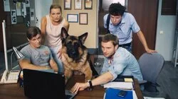 Пейзаж в тумане