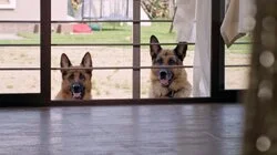 Любовь без границ