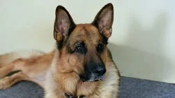 Отборочный тур