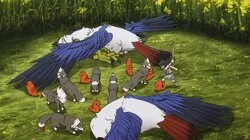 Allen Spills the Beans