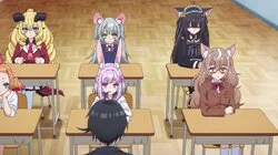 The Misanthrope and the Fruitless Love Fortune