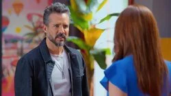 No se van a ir de aquí