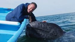 North to the Golden Gate