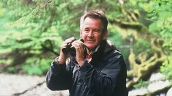 Swimming with Giants