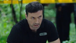 Чем дальше в лес