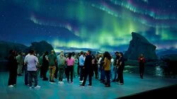 Den Regenwald vor lauter Bäumen nicht sehen!