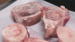 Bone Broth Brigade Oxtail Pho