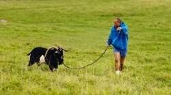 Frank er fri og dødsangst