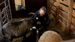 Har Jon det som skal til?