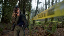 The Last Coordinates